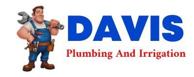 Trusted plumber in SPRING BRANCH